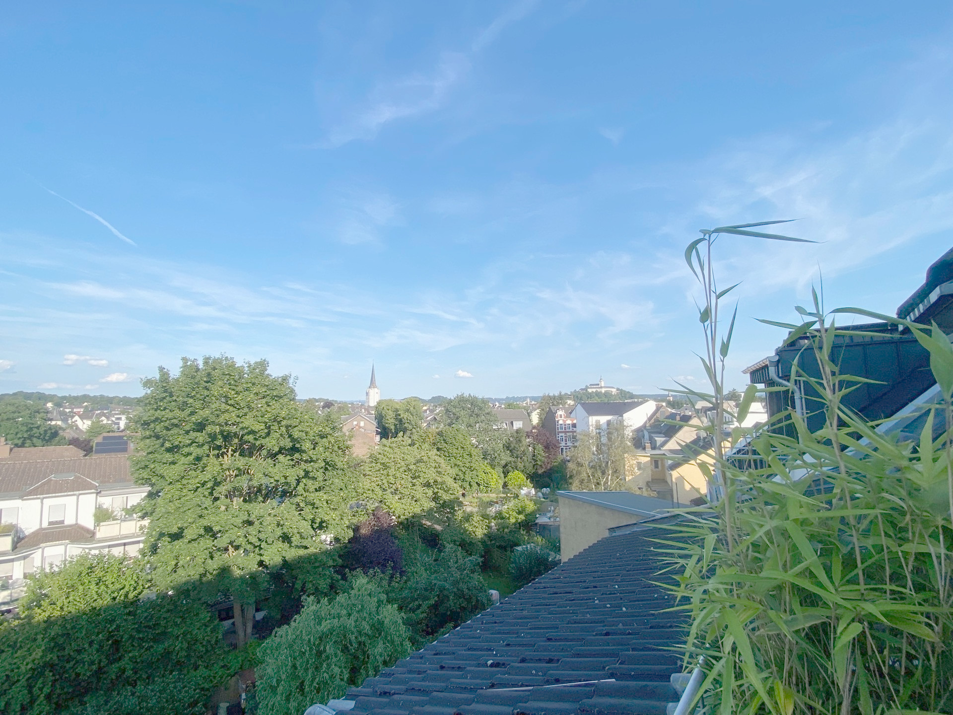 Blick zum Michaelsberg